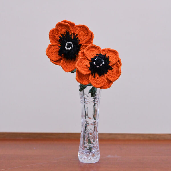 Anemone