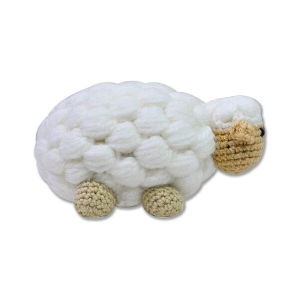 Wool sheep