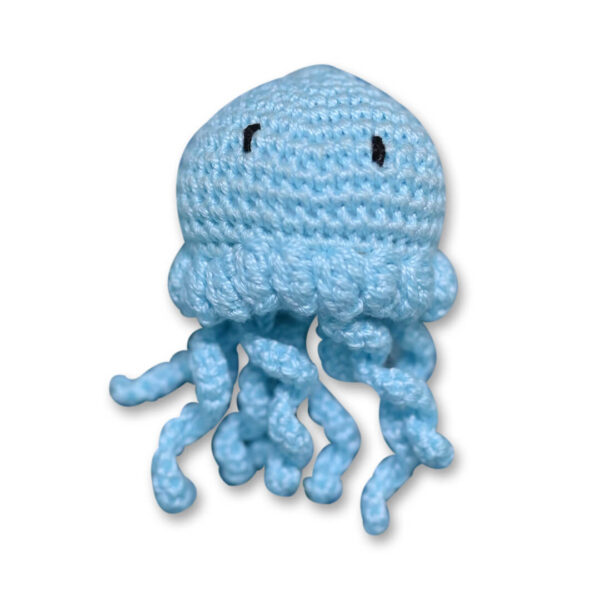 Jelly fish