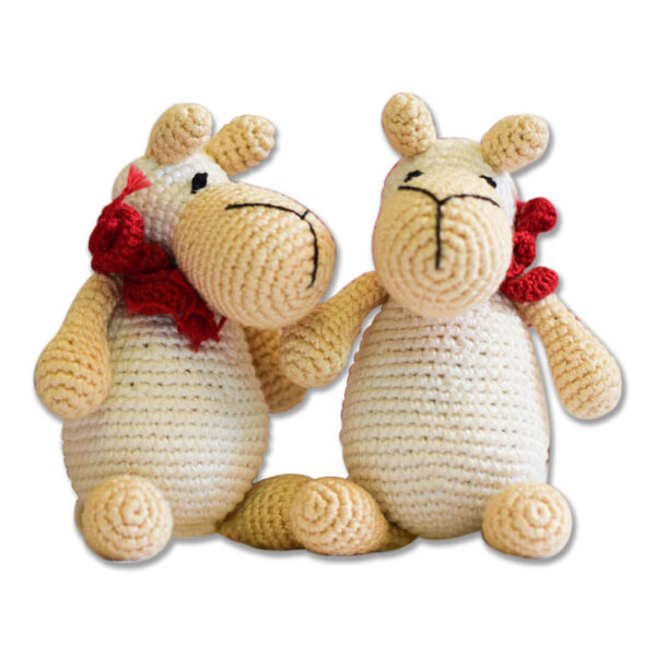 White sheep