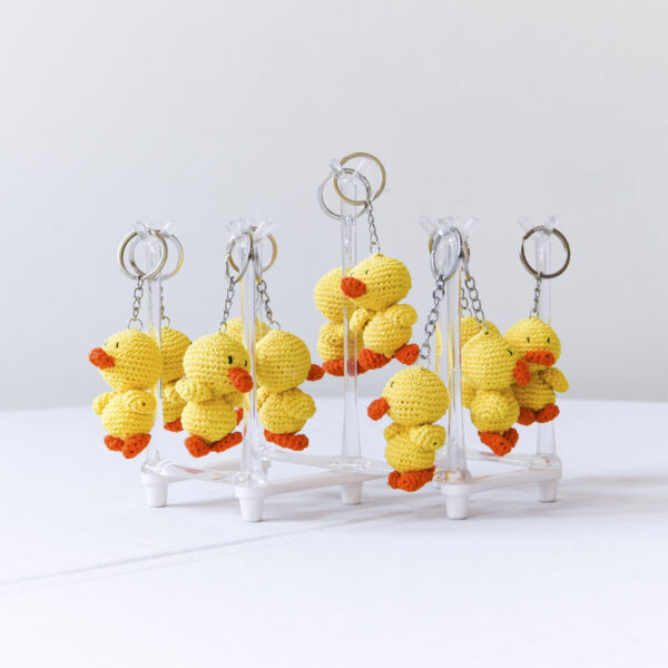 Duck